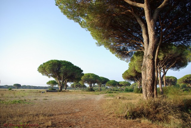 Trekking a Cecina