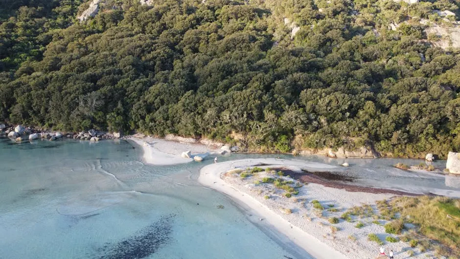 Errore da evitare: il sovraffollamento