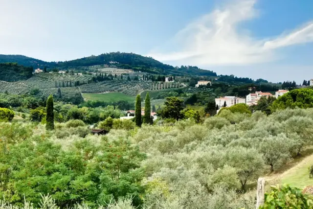 Campo nell’Elba: cosa vedere tra cosa vedere