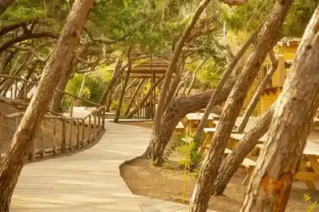 CSA Hotel Beach Park