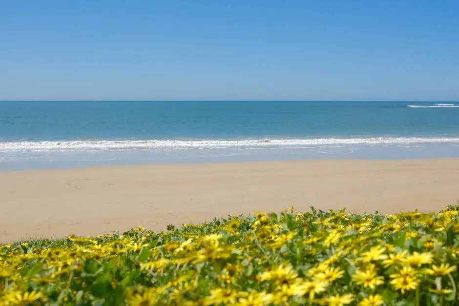 Eventi e manifestazioni estive