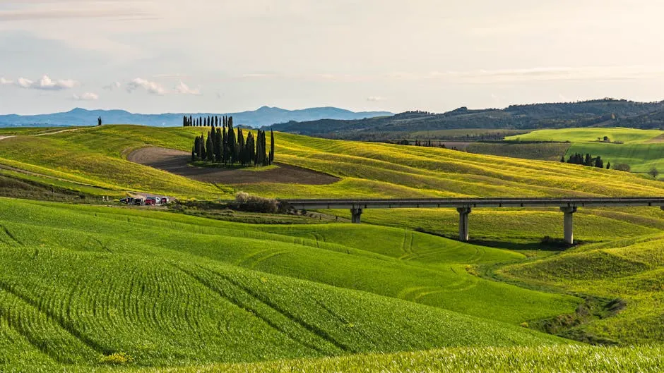 Panorama di Roccastrada con colline e boschi toscani.