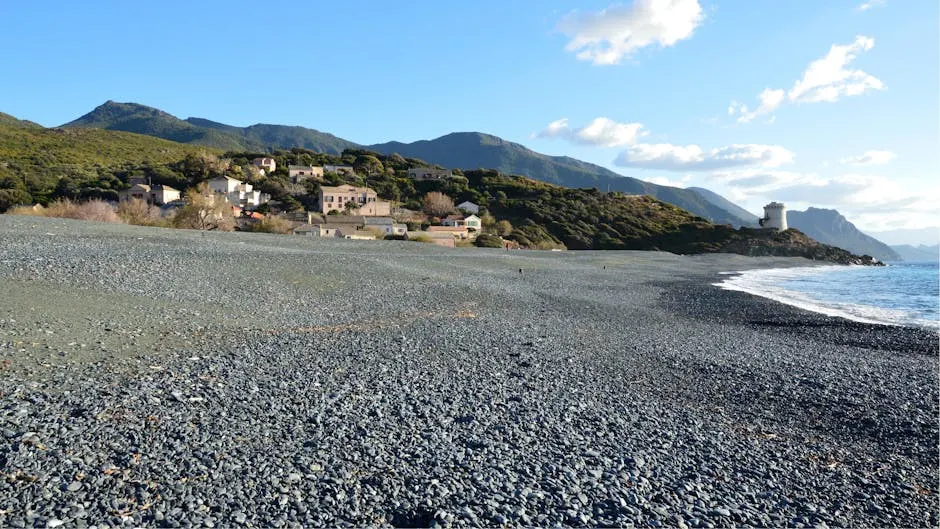 Esplorare la natura circostante