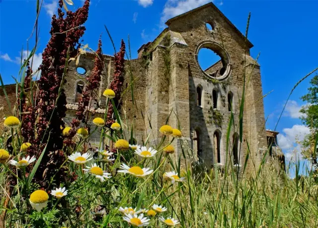 San Vincenzo: cosa vedere tra cosa vedere
