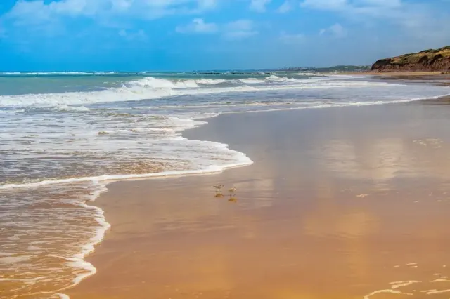 spiagge tranquille Cecina - Fuga dal caos: le spiagge tranquille di Cecina da vivere in solitudine